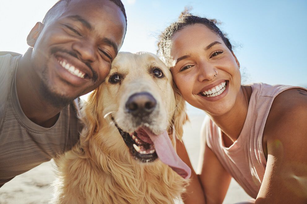 A happy couple, a man and a woman, are smiling and posing for a photo with their Golden Retriever. The dog is panting with its tongue out, looking cheerful.